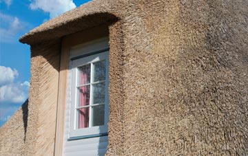 Saltrens thatch roof disadvantages